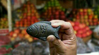 ماهی آهنی نجات‌بخش +عکس
