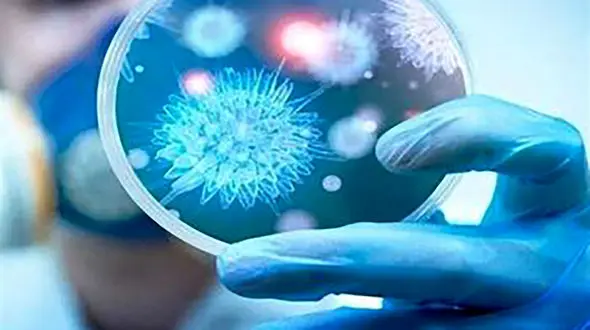 چند علائم از کرونا خوش خیم را بشناسید