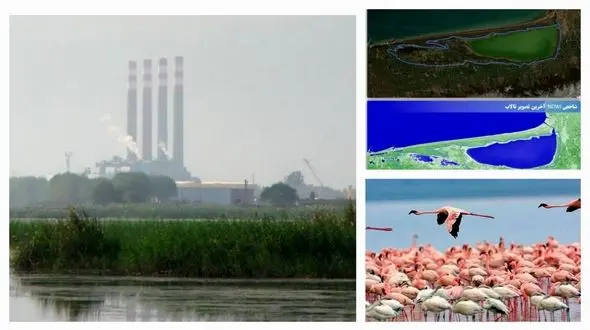 نیمی از تالاب میانکاله خشک شد؛ تنها ۵۱.۳ درصد از آب باقی مانده است/نسبت به سال گذشته ۱۵ درصد کاهش/۵۰ هزار پرنده قربانی کاهش آب! 