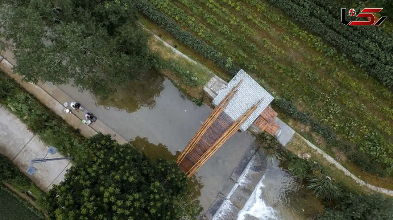زیباترین پل‌ های عابر پیاده جهان؛ معماری چوب و بامبو در دل طبیعت / عکس