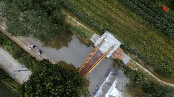 زیباترین پل‌ های عابر پیاده جهان؛ معماری چوب و بامبو در دل طبیعت / عکس