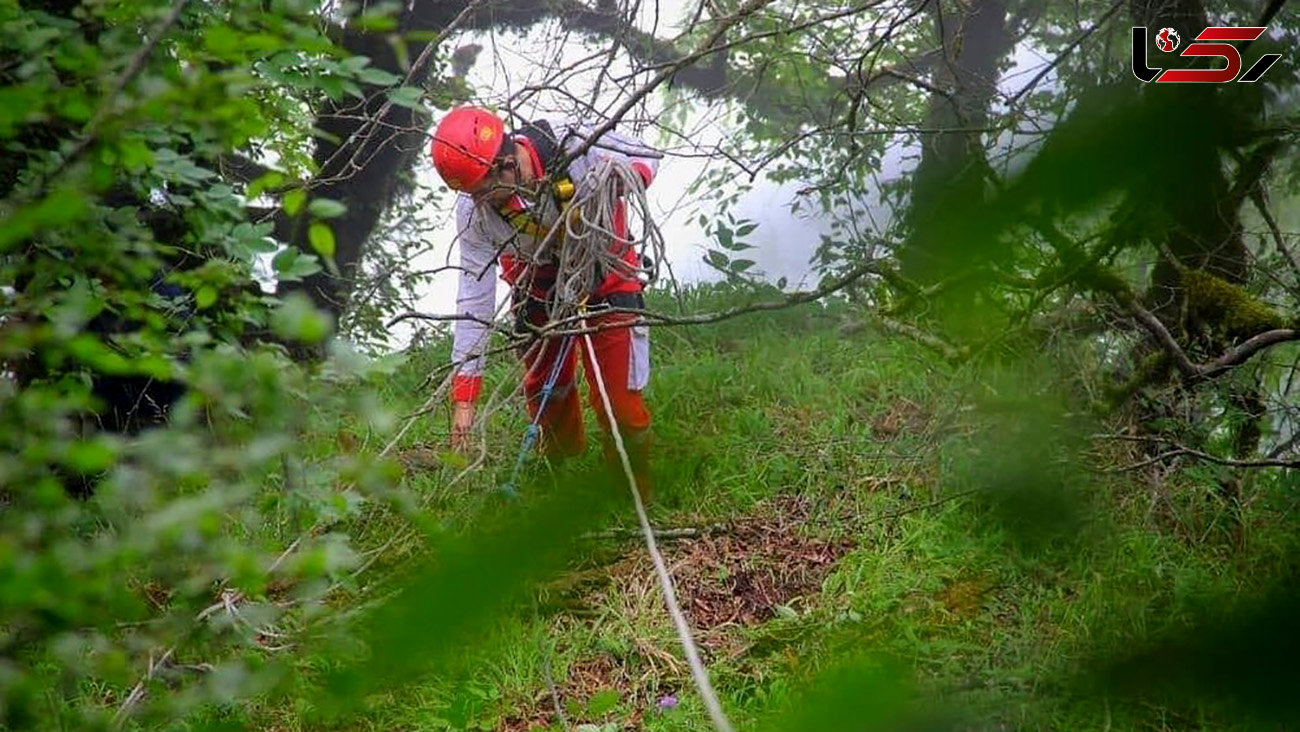 پایان 4 روز سرگردانی پیرمرد گمشده در ارتفاعات دیلمان / 5 کوهنورد گمشده نیز پیدا شدند