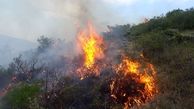 :دسنگیری ۱۹ عامل آتش سوزی عمدی در مراتع و جنگل های لرستان 