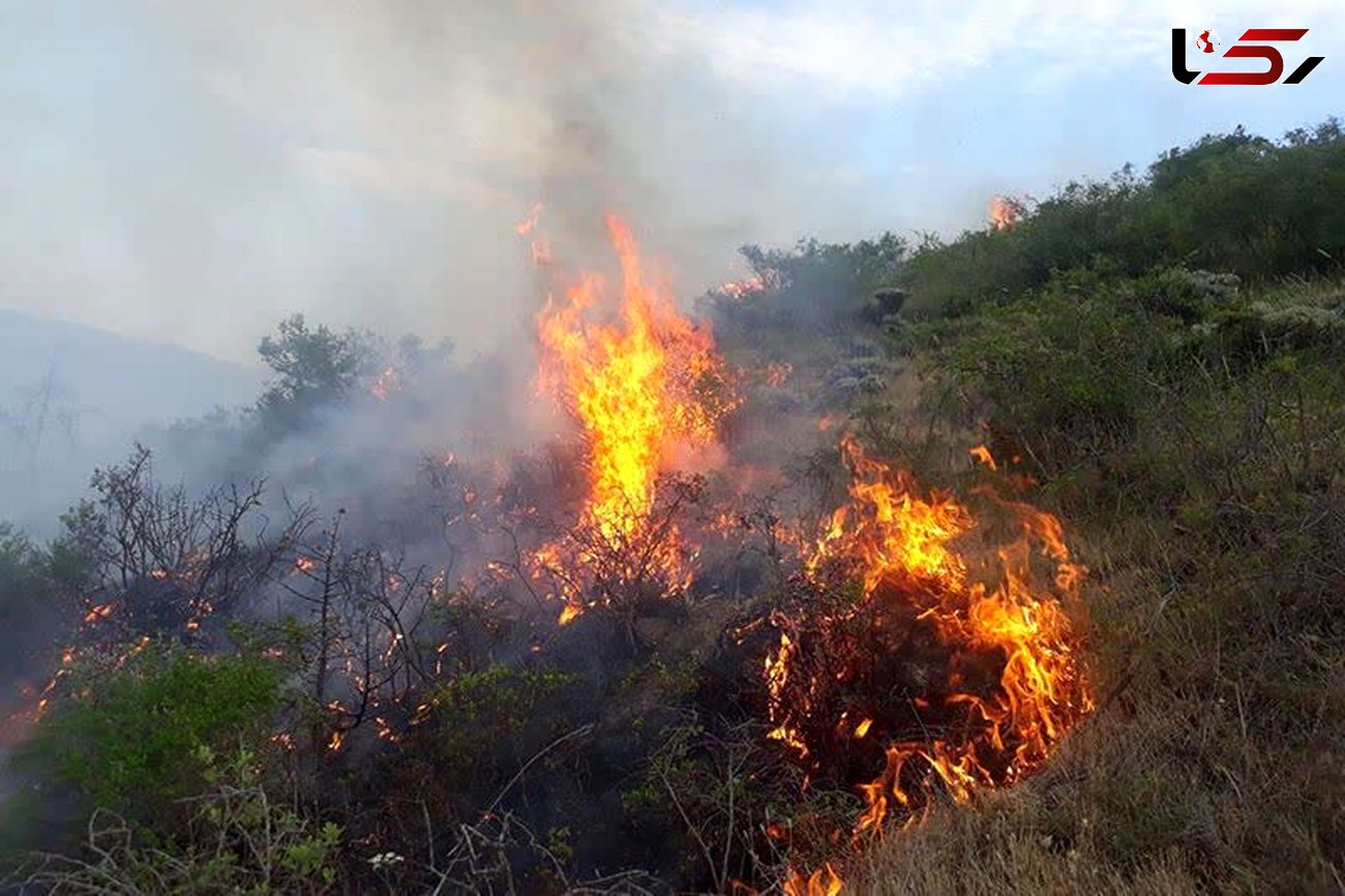 :دسنگیری ۱۹ عامل آتش سوزی عمدی در مراتع و جنگل های لرستان 
