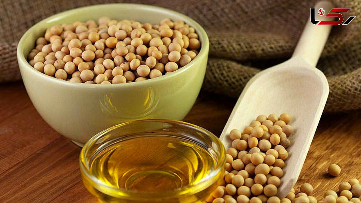 خطرات مصرف روغن اصلاح شده ژنتیکی سویا در عمکلرد کبد