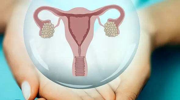 خرید و فروش تخمک تا ۲۰ میلیون تومان!