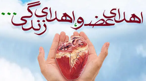 مهدی امینی فرشته نجات چند نفر در مشهد شد