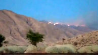 فیلم هولناک از آتش سوزی در ارتفاعات جهرم 
