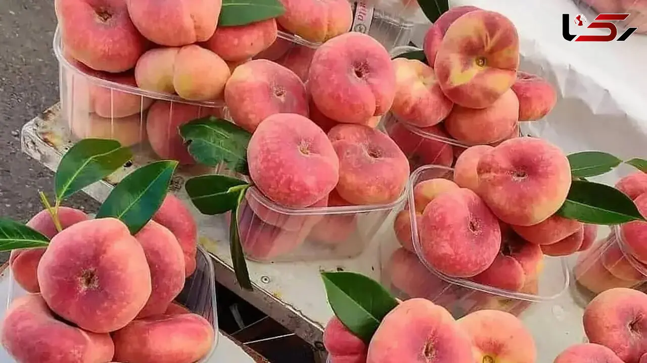 خواص هلو انجیری