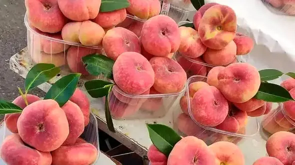 خواص هلو انجیری