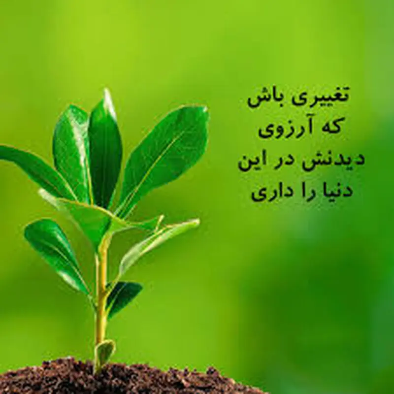 جمله مثبت
