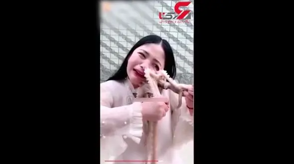 حمله اختاپوس عصبانی به یک دختر چشم بادامی+ فیلم