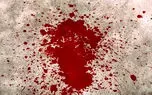 قتل فجیع زن شهرستانی در تهران / چاقو سینه اش را شکافت