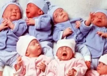 خلاقیت خنده دار یک زوج باهوش برای سفارش کالسکه 6قلوهایشان تاریخی شد/ مغز این دانشمندارو باید طلا گرفت