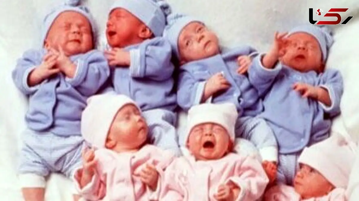 خلاقیت خنده دار یک زوج باهوش برای سفارش کالسکه 6قلوهایشان تاریخی شد/ مغز این دانشمندارو باید طلا گرفت