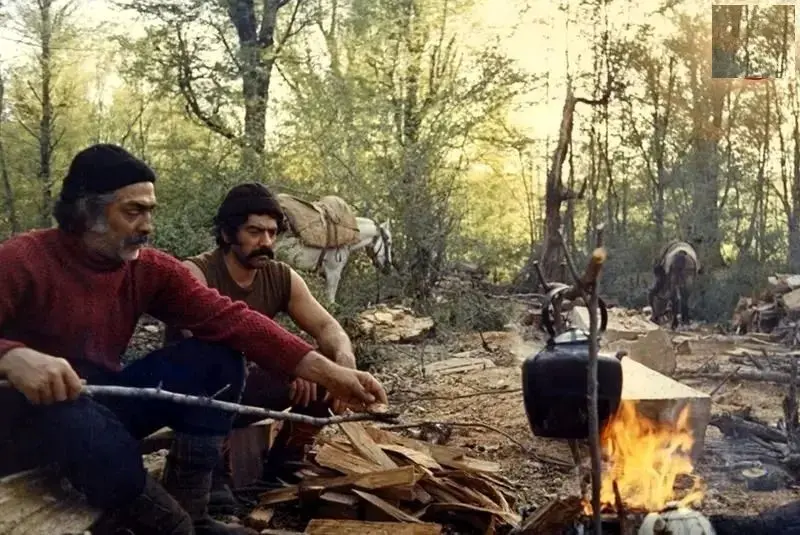 فردین و فرامرز قریبیان، چای آتشی در جنگل