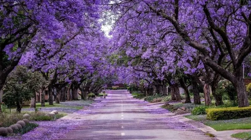 عکس چشم‌نواز طبیعت بهاری
