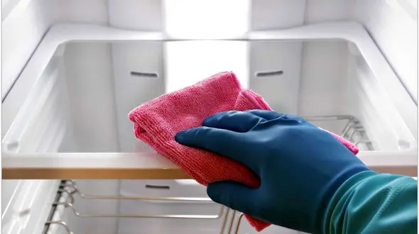 نحوه تمیز کردن یخچال فریزر؛ ساده ترین روش های پاکسازی داخل یخچال
