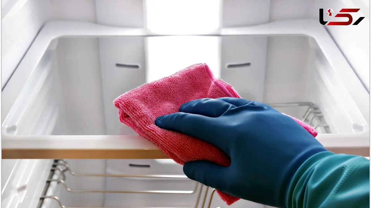 نحوه تمیز کردن یخچال فریزر؛ ساده ترین روش های پاکسازی داخل یخچال