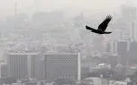 رفع معضل آلودگی هوا 50 هزار میلیارد تومان پول می خواهد / بودجه امسال مبارزه با آلودگی هوا فقط 320 میلیارد تومان! + فیلم