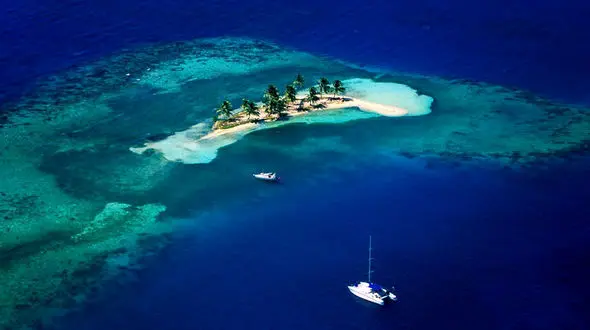 شجاع ترین غواص ها در لا به لای کوسه ها+عکس