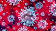 ابتلای 14 نفر به کرونا ویروس در چهارمحال و بختیاری