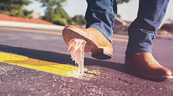 انداختن آدامس در خیابان، قاتل زن 19 ساله را بعد از 40 سال لو داد 