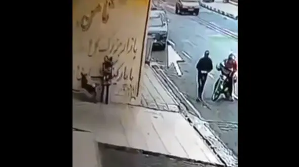 فیلم / بازداشت بی رحم ترین دزدان تهران در حمله به زنی با بچه ای در آغوش ! 