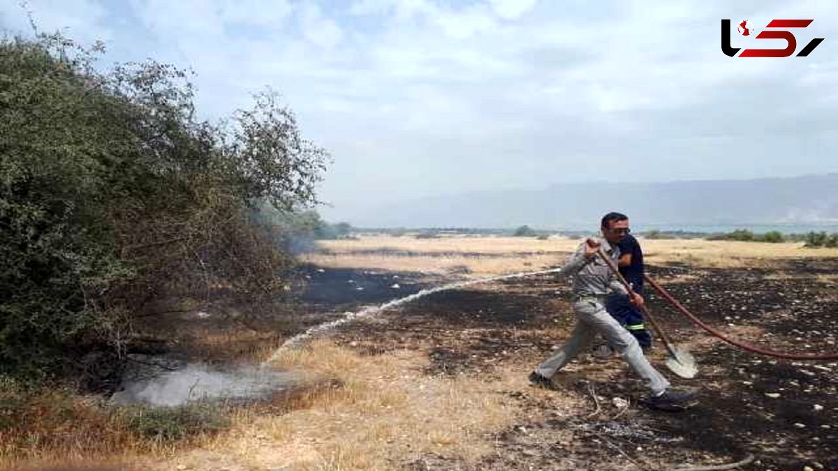 مهار 3 آتش سوزی در مناطق حفاظت شده بوشهر