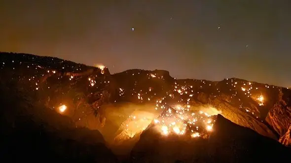 آقایان مسئول! سرمایه غنی جنگل و مرتع، مامن حیات وحش به تلی از خاکستر تبدیل شد/ نه برای اولین بار نه برای آخرین بار!