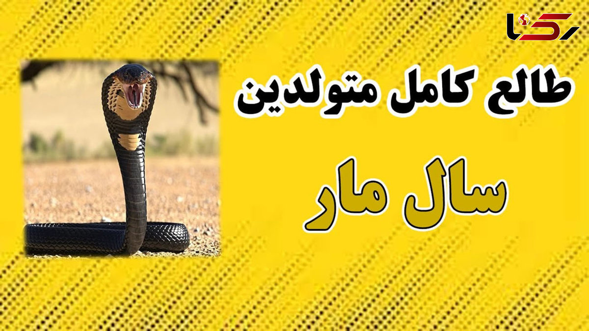 مشخصات کلی متولدین سال مار: خردمند و زیبا + فیلم