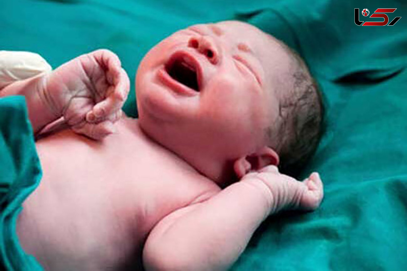 تولد یک نوزاد عجول در قم