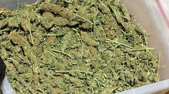 کشف محموله ماری جوانا در یاسوج توسط سپاه