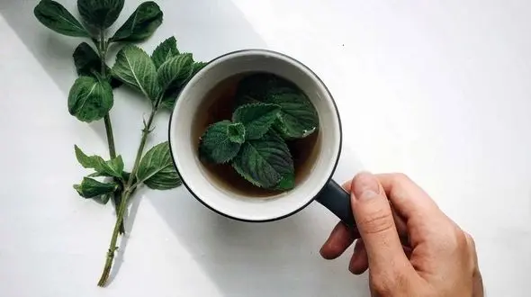 لیستی از میوه ها و سبزیجاتی که به هضم غذا کمک می کند