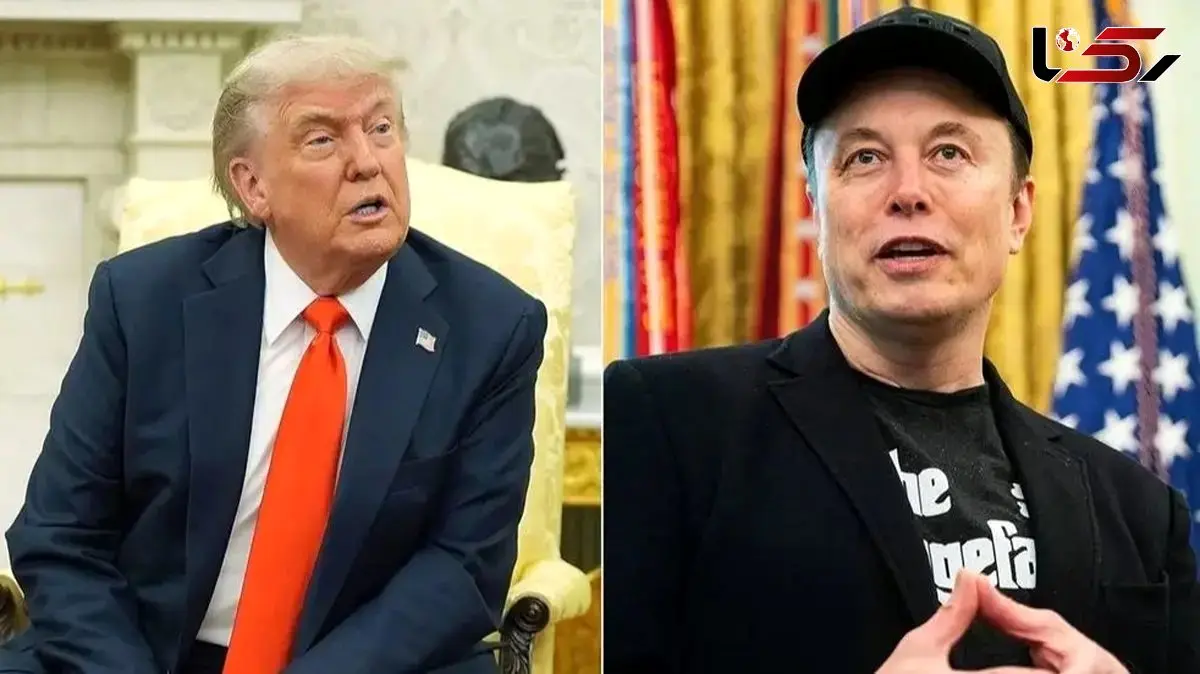 Elon Musk and Donald Trump enter heated New York mayoral race