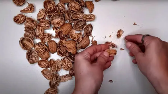 زیباترین اثر هنری با پوست گردو + فیلم