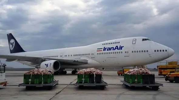 گوشت گرم گوسفندی و گوساله از آفریقای جنوبی وارد کشور شد