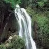 دو چهره سرسبز ایران