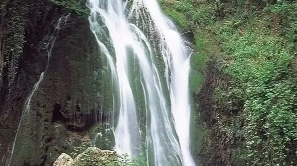 دو چهره سرسبز ایران