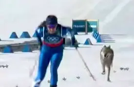 فیلم اتفاق بی سابقه/ حضور گرگ در مسابقه اسکی المپیک زمستانی