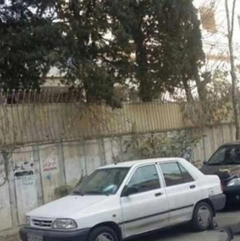 شماعی زاده