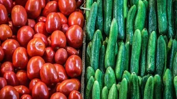 آیا مصرف همزمان خیار و گوجه خطرناک است؟