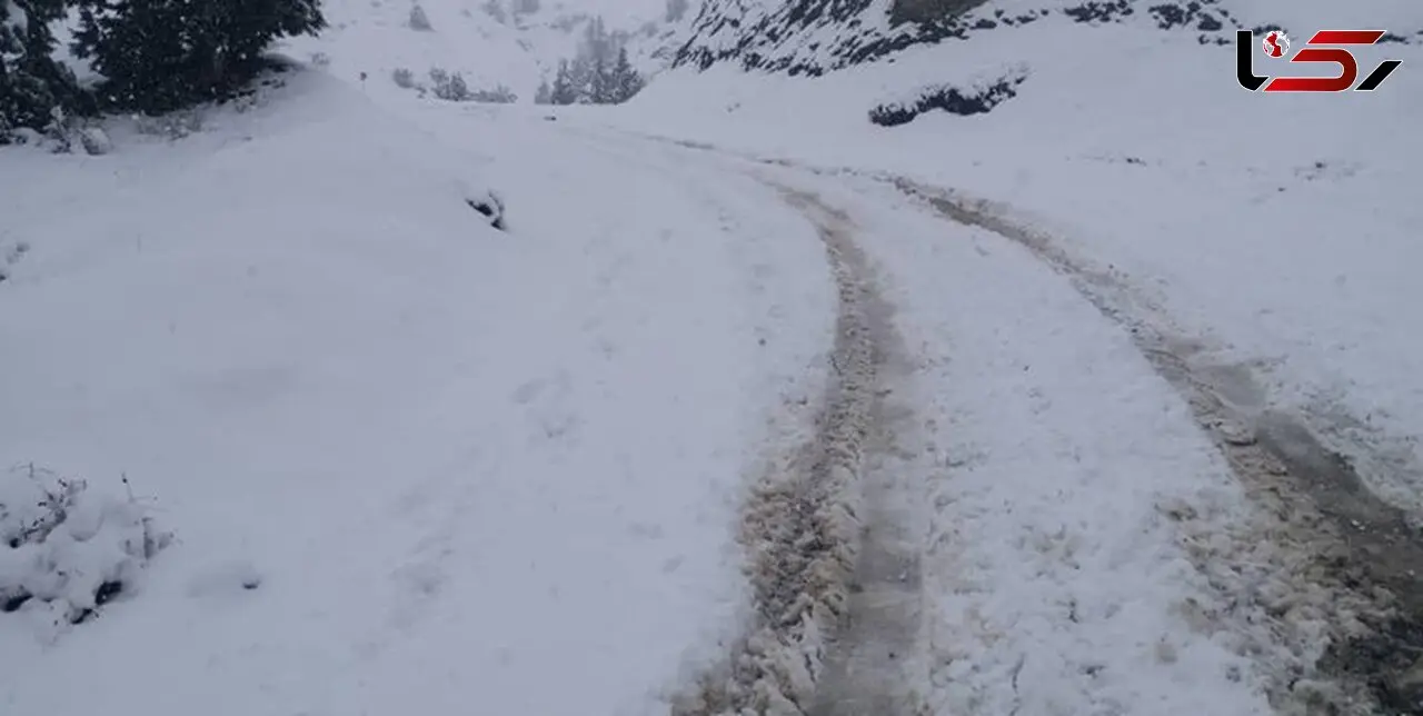 بارش ۲۰ سانتی‌متری برف در جواهرده رامسر