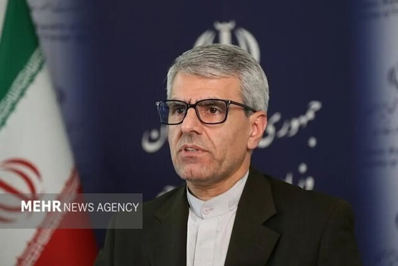 بقائی: تاریخ برخی رفتگان را بیشتر از زندگان به یاد می آورد