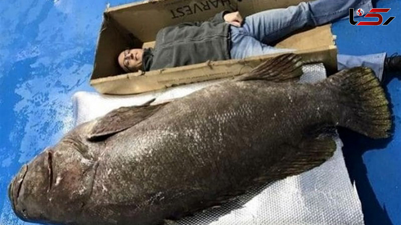 شکار ماهی عظیم‌الجثه برای نخستین‌ بار در منچستر+ عکس 