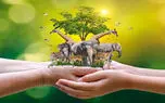 روز جهانی حیوانات؛ ۴ اکتبر فرصتی برای مهربانی با حیوانات