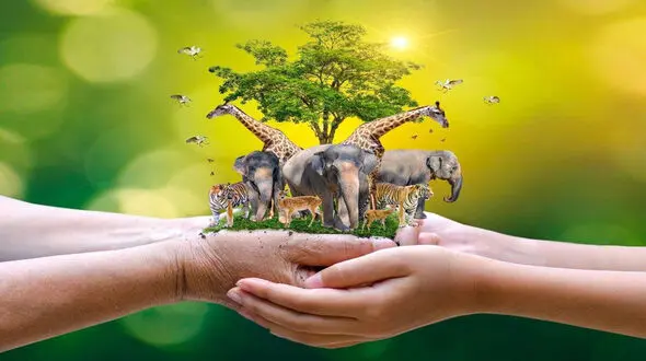 روز جهانی حیوانات؛ ۴ اکتبر فرصتی برای مهربانی با حیوانات