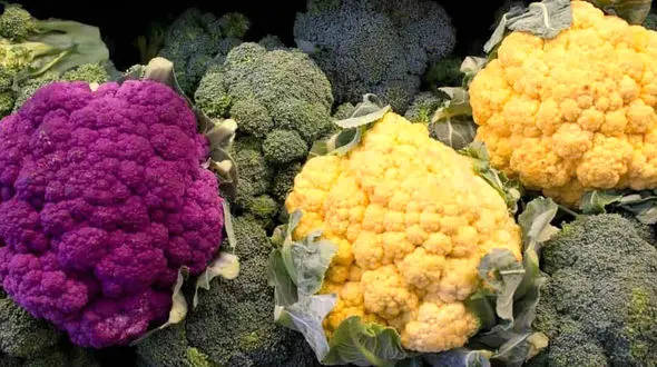 گل کلم بهترین سد در برابر سرطان 