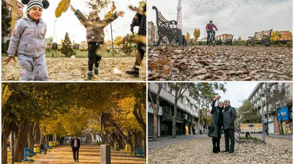 زیبایی های پاییز در خیابان های تبریز +عکس