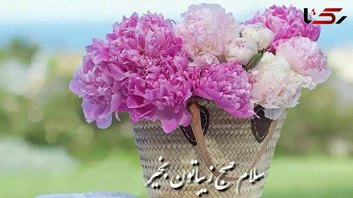 فال روزانه شخصی / 17 تیر ماه + فیلم